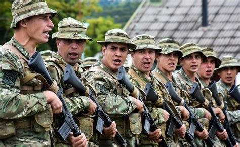 servicio militar voluntario argentina